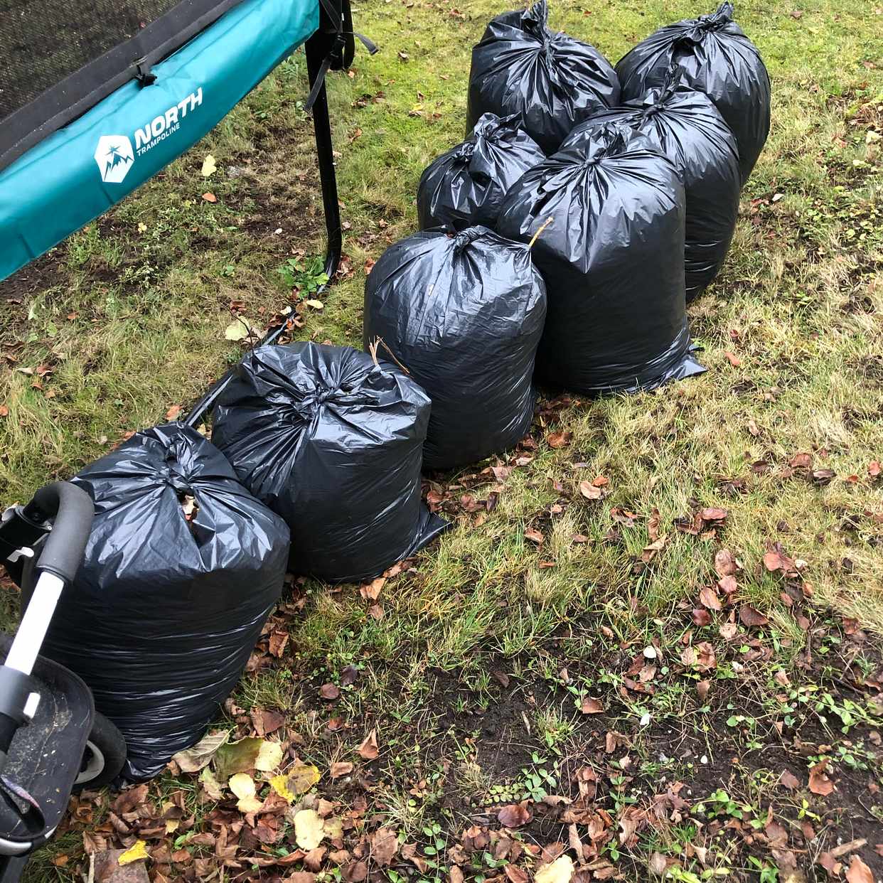 image of Gardenwaste and stroller - Bromma