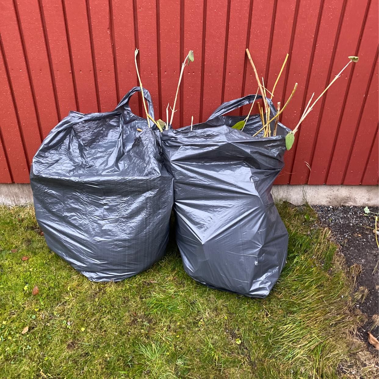 image of Två påsar m grenar - Sollentuna