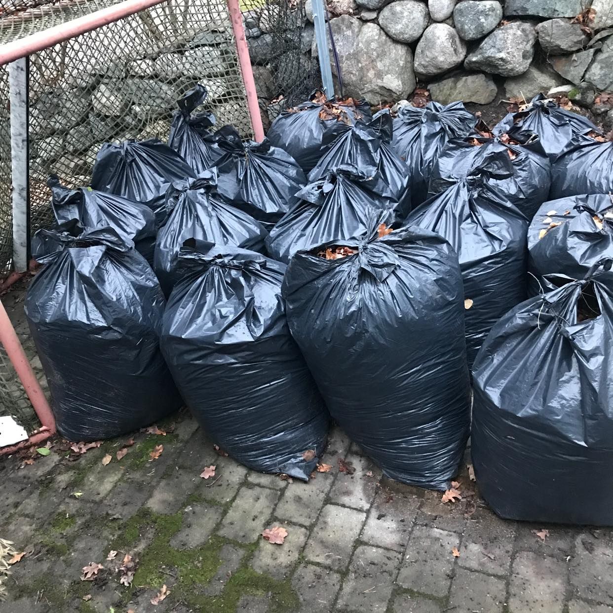 image of Påsar med löv - Saltsjöbaden