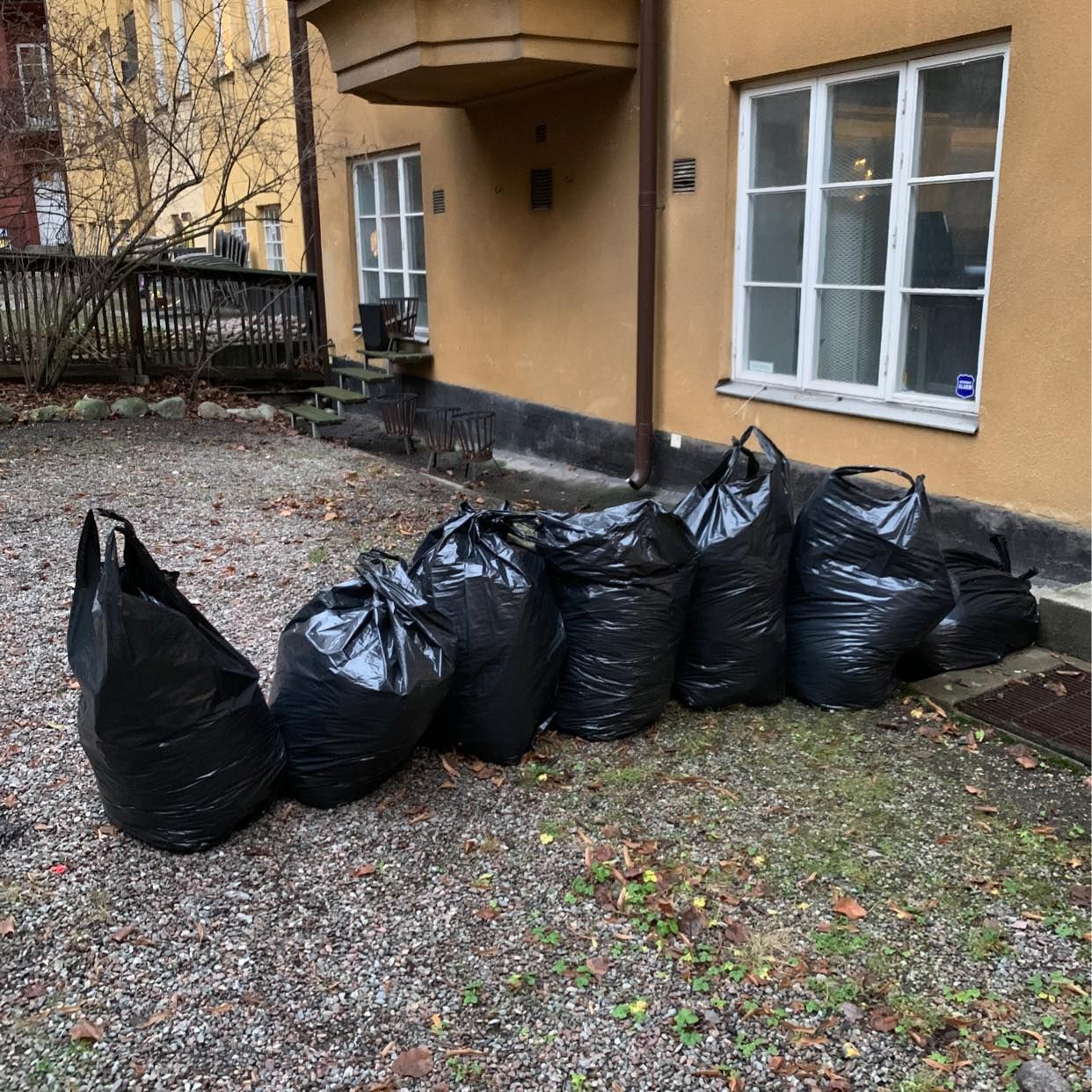 image of 7 säckar blöta löv - Stockholms Stad