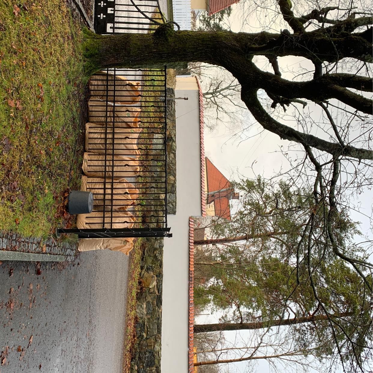 image of Leaves - Lidingö