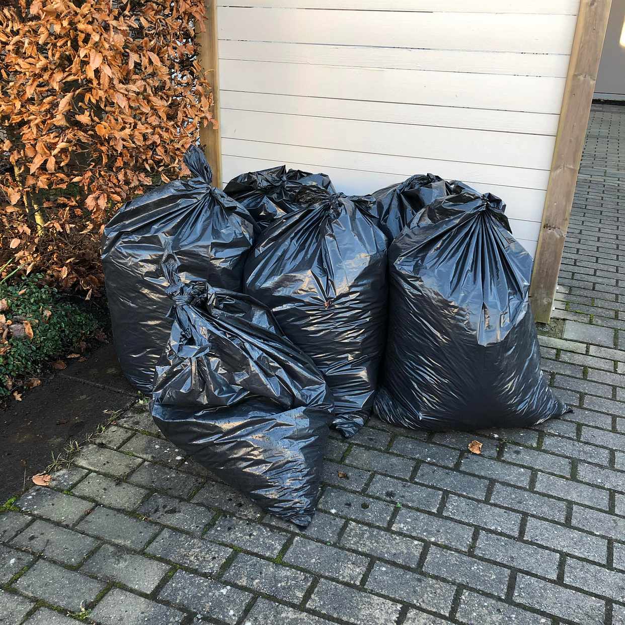 image of Sex sopsäckar med löv - Västra Frölunda