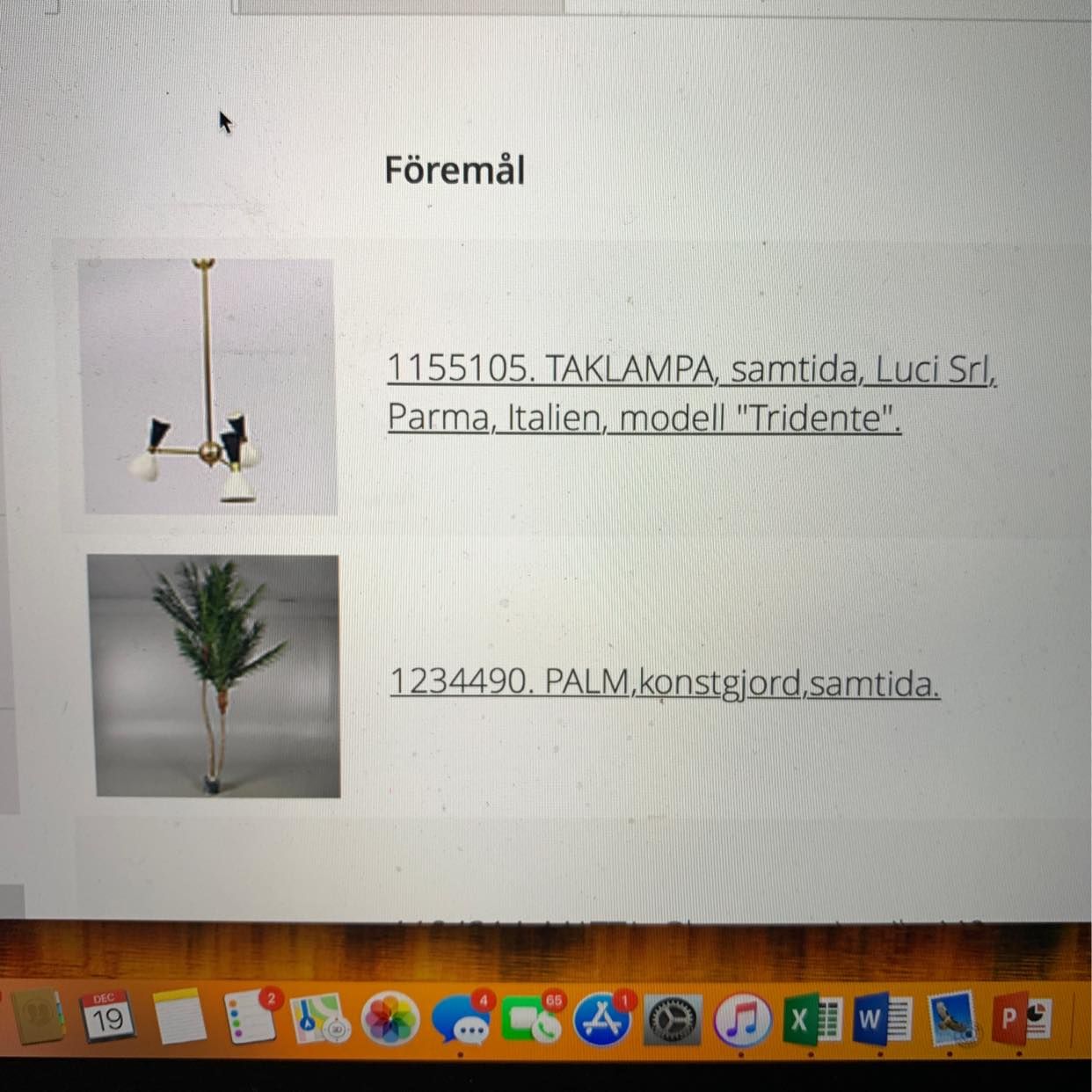 image of Palm och taklamp - 