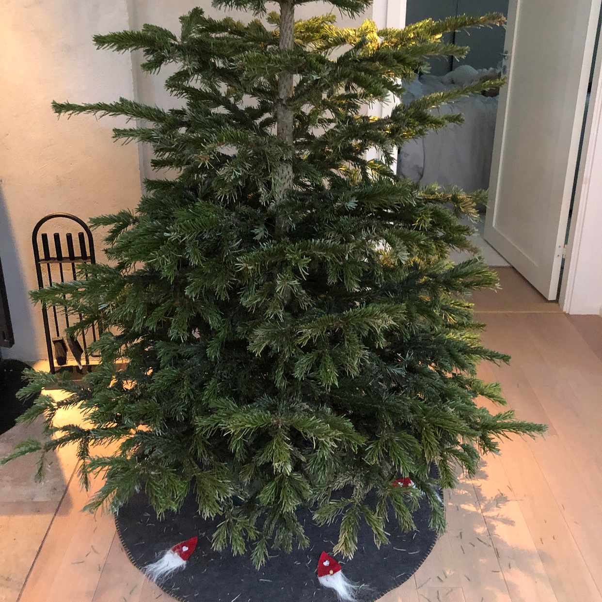 image of Hämta julgran - Stockholm
