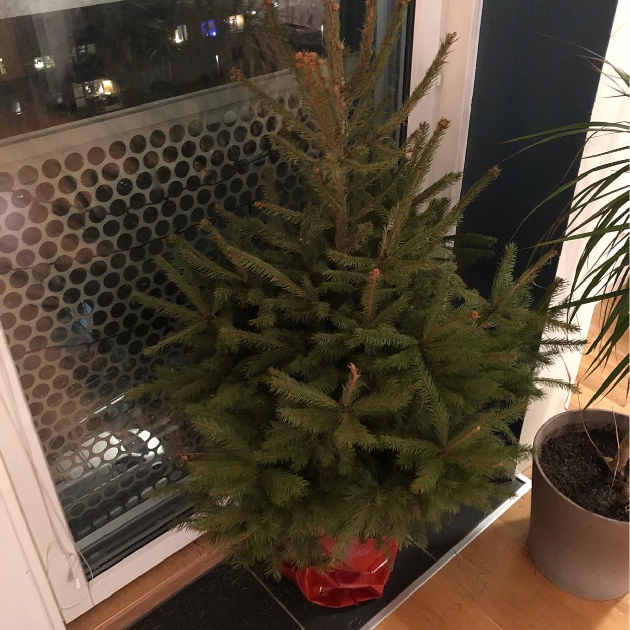 julgran vällingby Julgran   Vällingby   Tiptapp