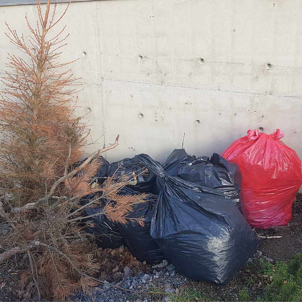 image of 8 säckar löv + 2 granar - Saltsjöbaden
