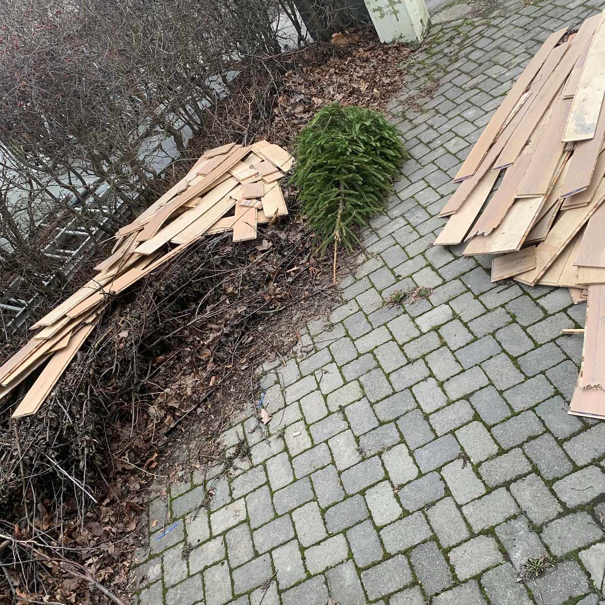 image of Trägolv, gran och ”ris” - Bromma