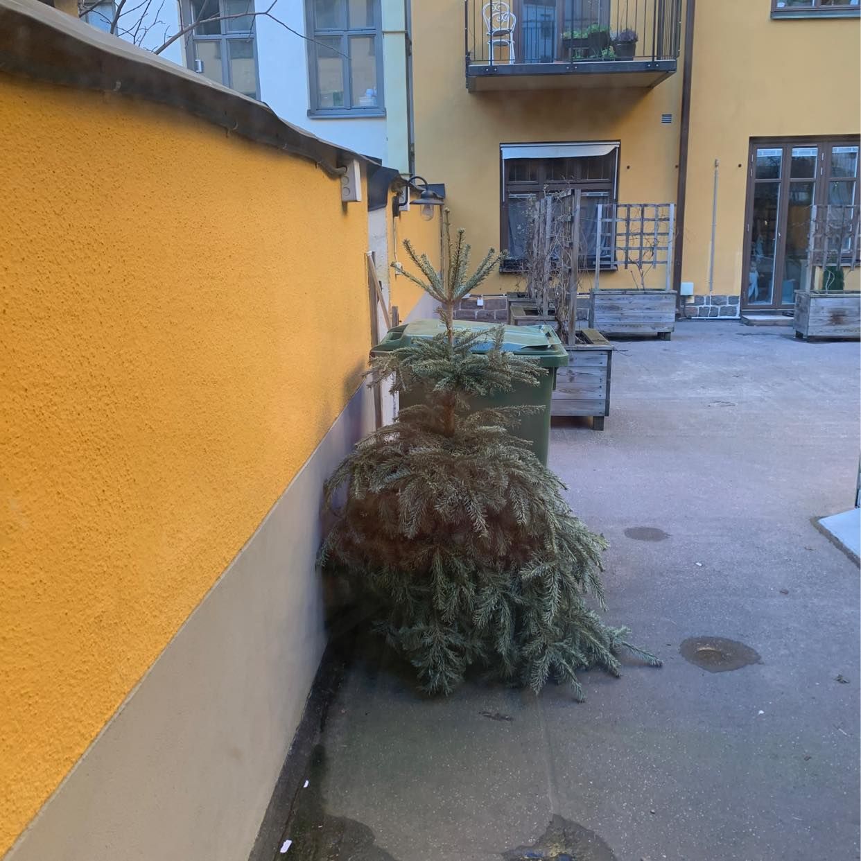image of Julgran - Stockholm