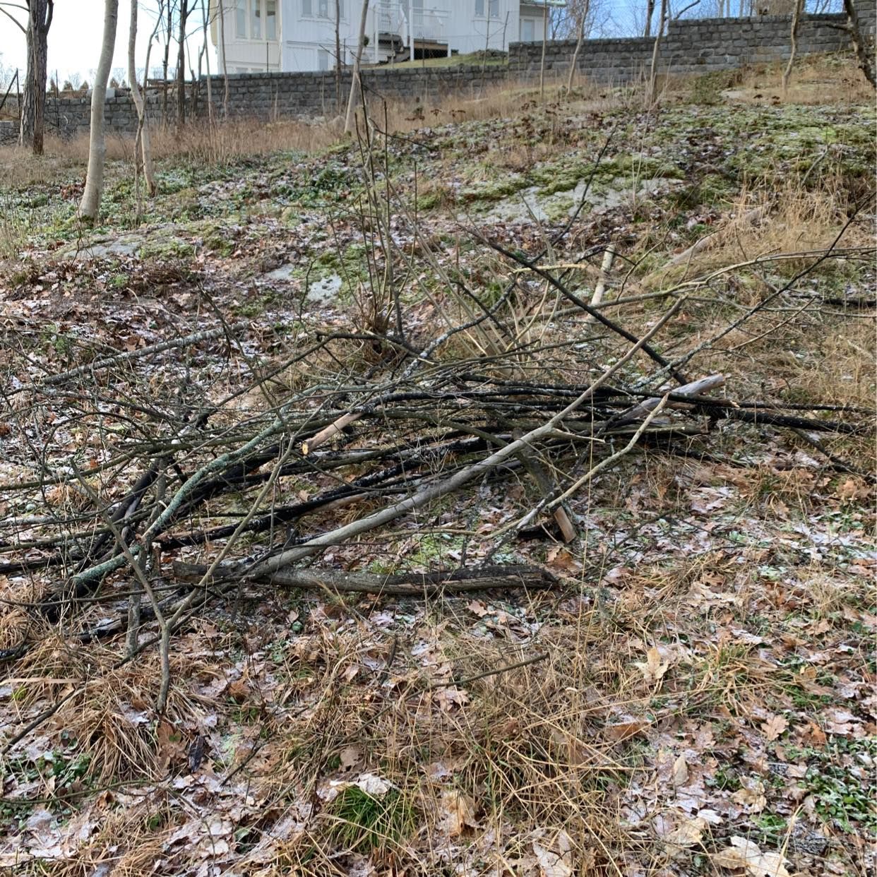 image of Grenar och vedkubbar - Djursholm