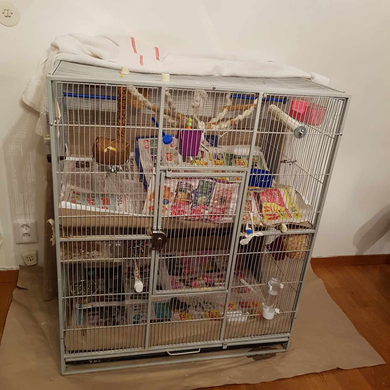 image of Fågelbur med fåglar - 