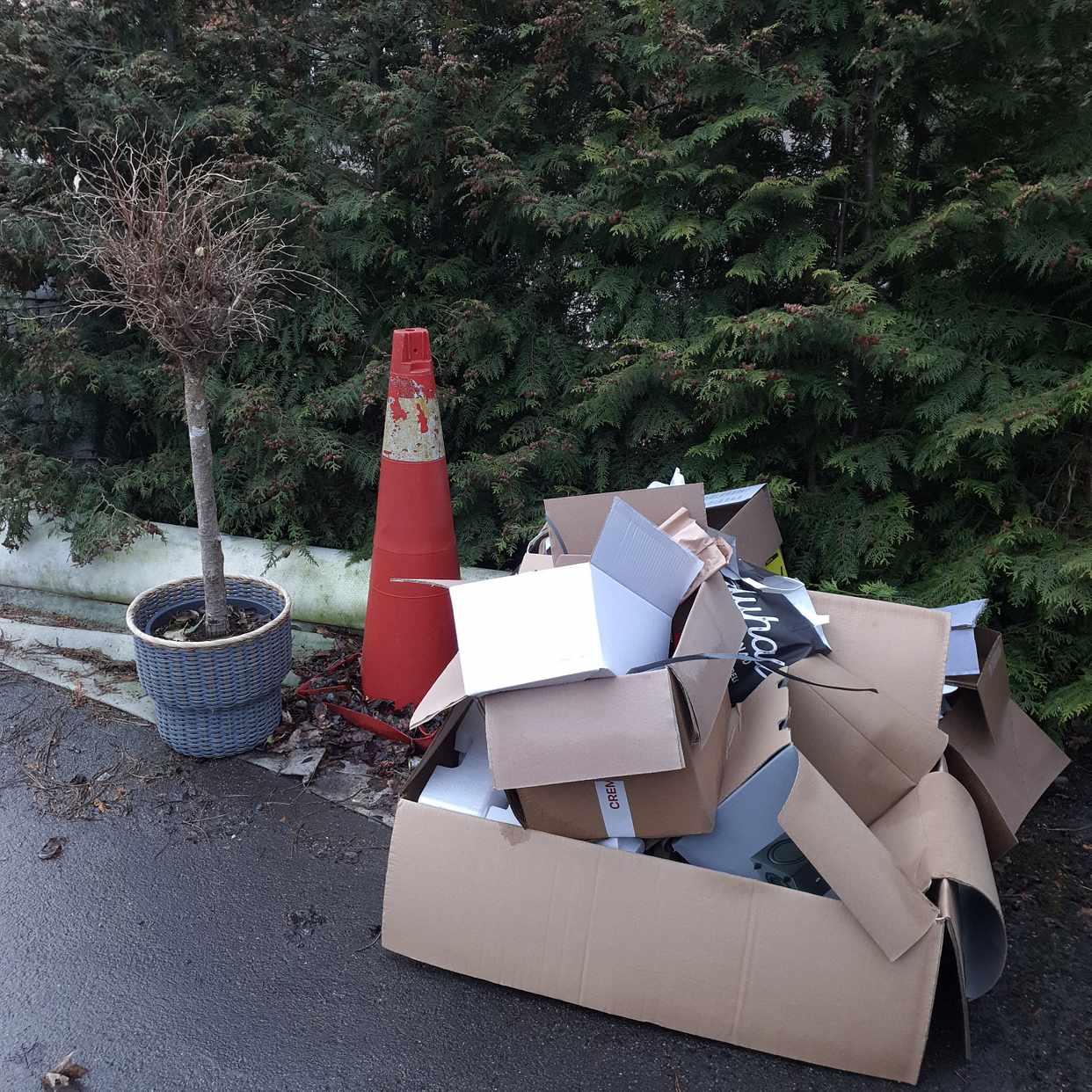 image of Everything in the picture - Saltsjö-boo