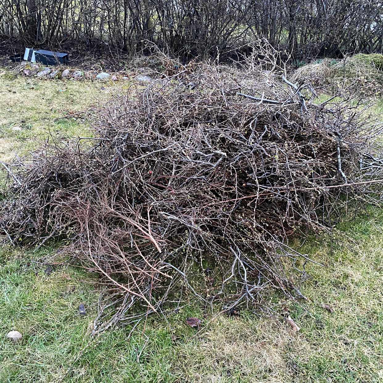 image of Ris från häckklippning - Bro