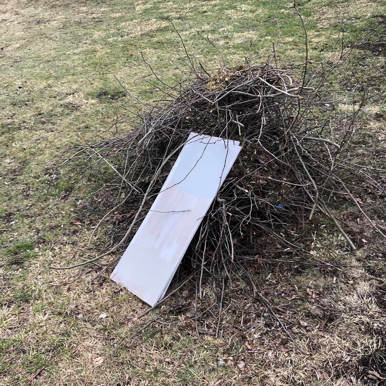 image of Mindre hög av grenar - Danderyd
