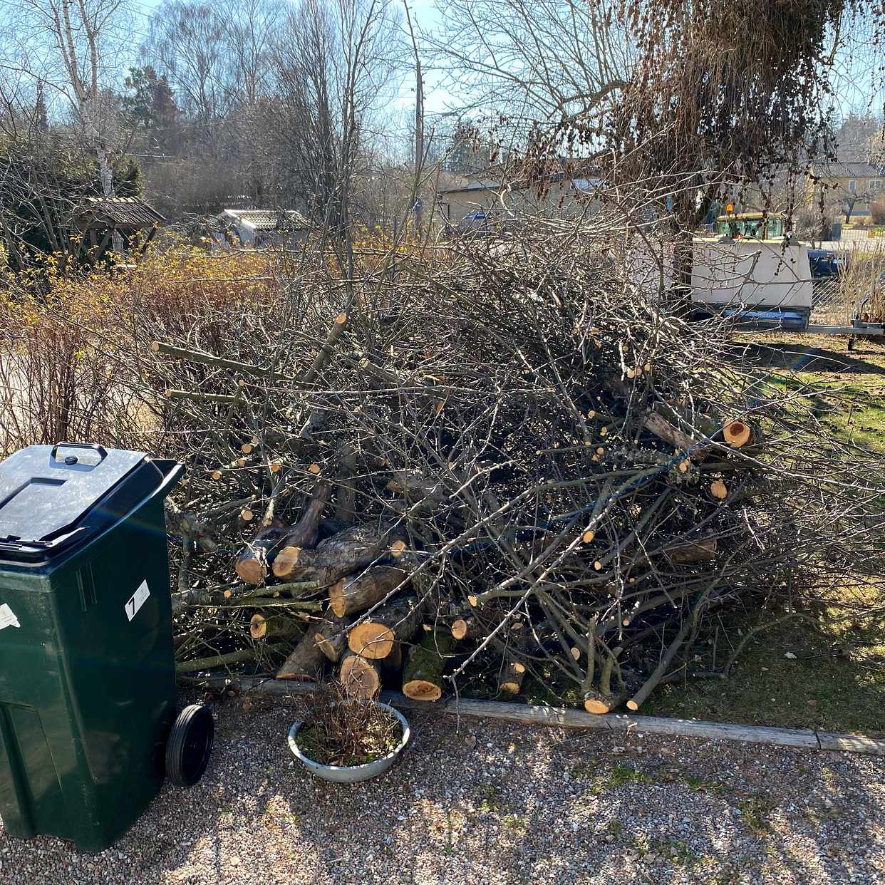 image of Grenar efter beskärning - Spånga