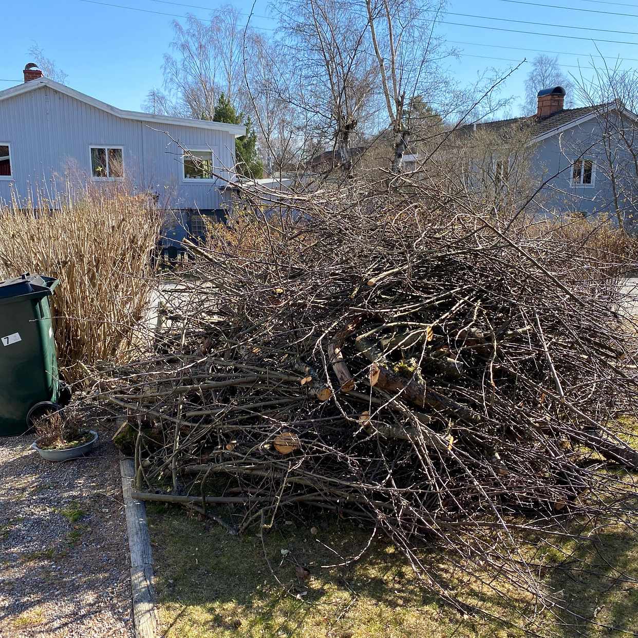 image of Grenar efter beskärning - Spånga