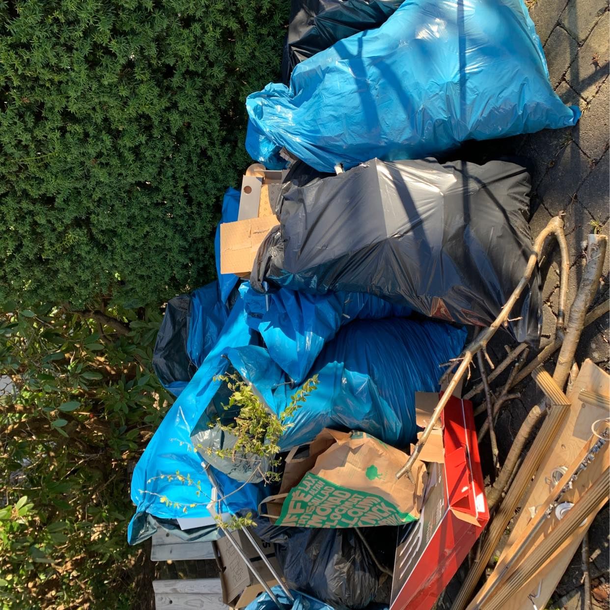 image of Garden east and trash - Göteborg
