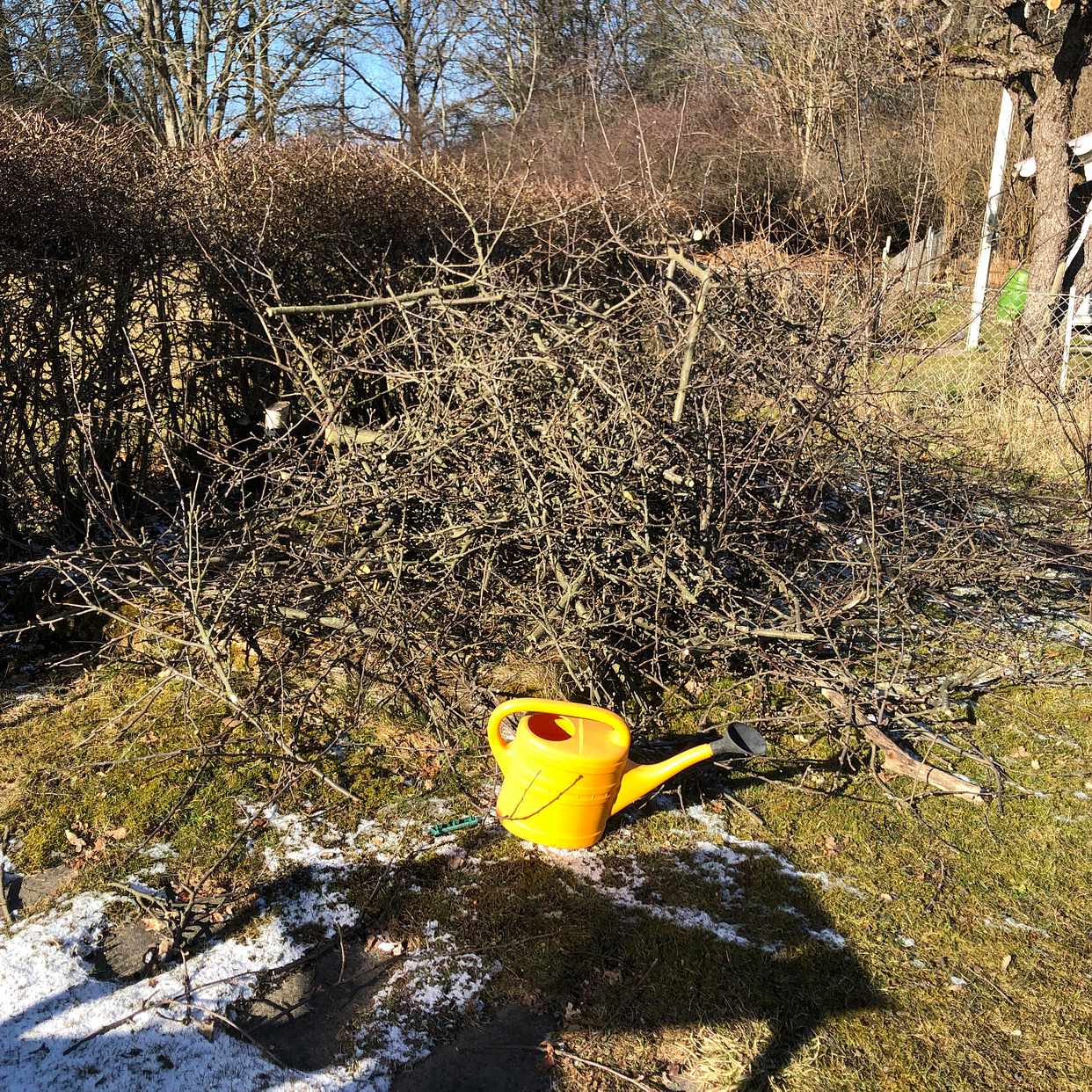image of Två högar med grenar - Bromma