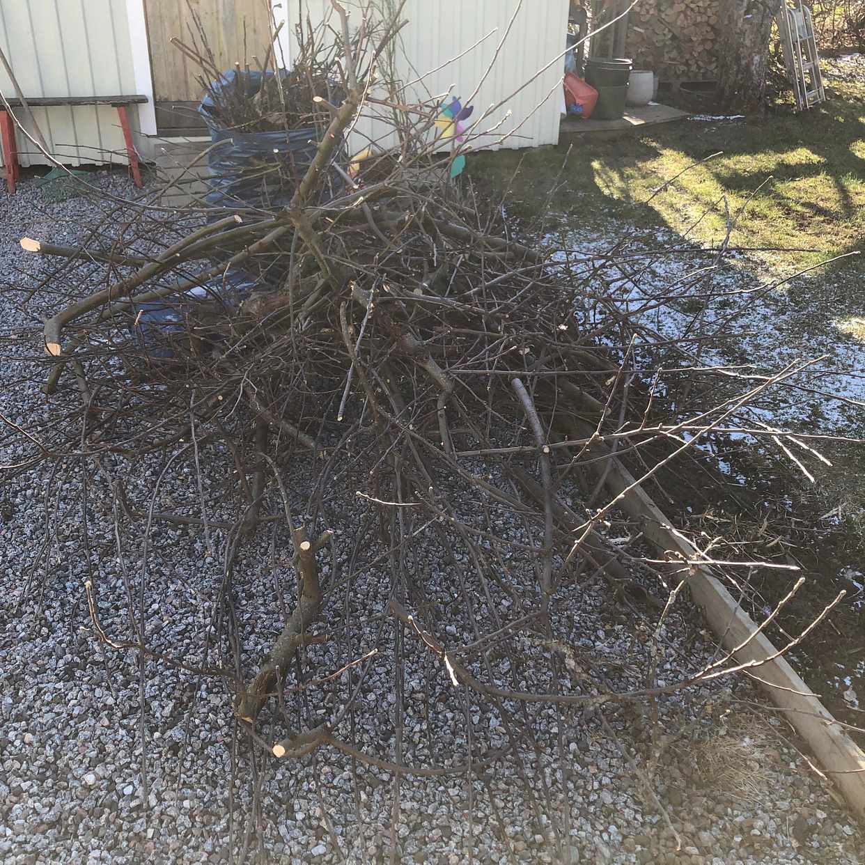 image of Två högar med grenar - Bromma