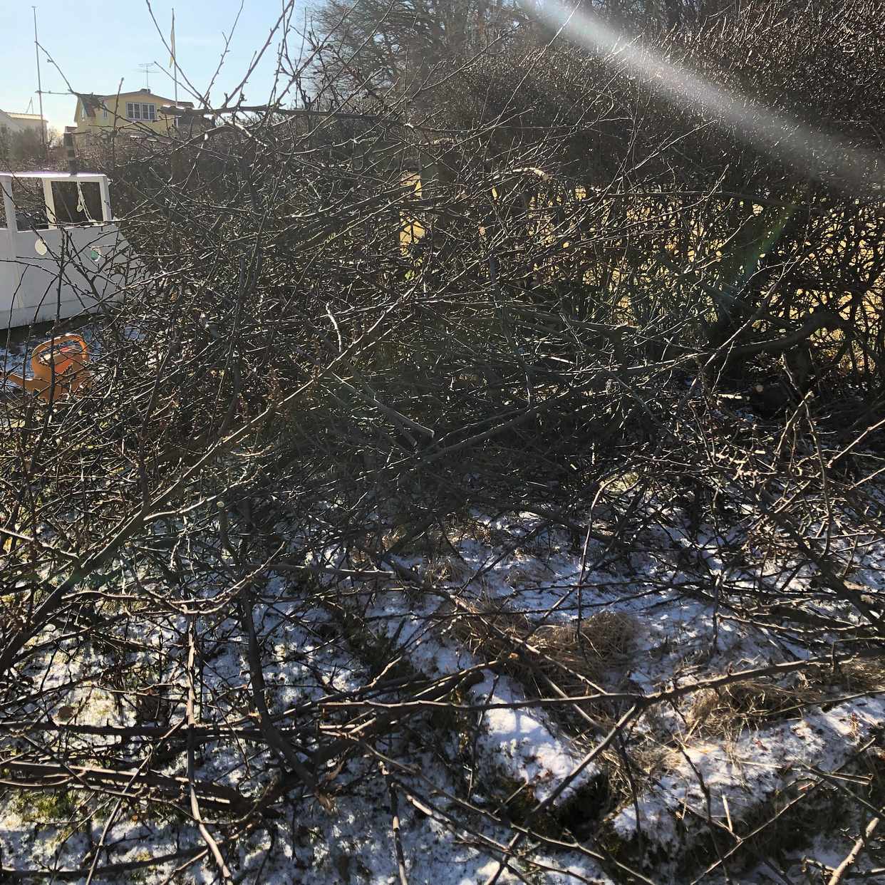 image of Två högar med grenar - Bromma