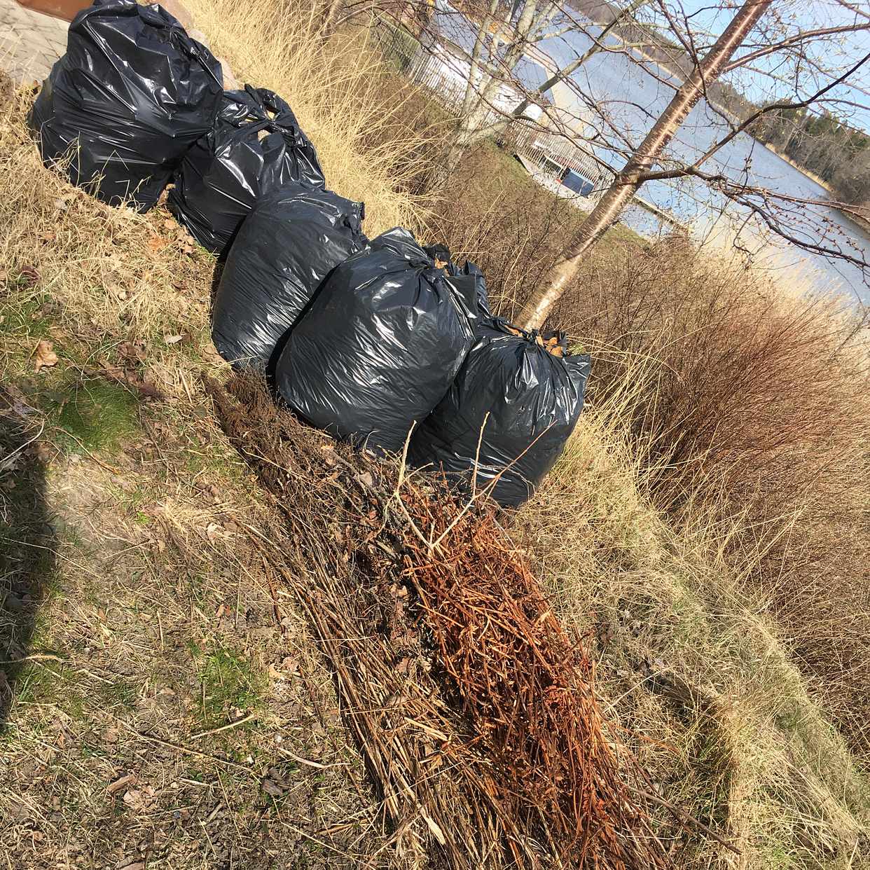 image of Trädgårdsrens och ved - Upplands Väsby