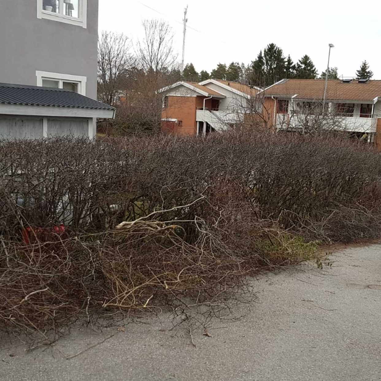 image of Grenar löv och buskar - Järfälla