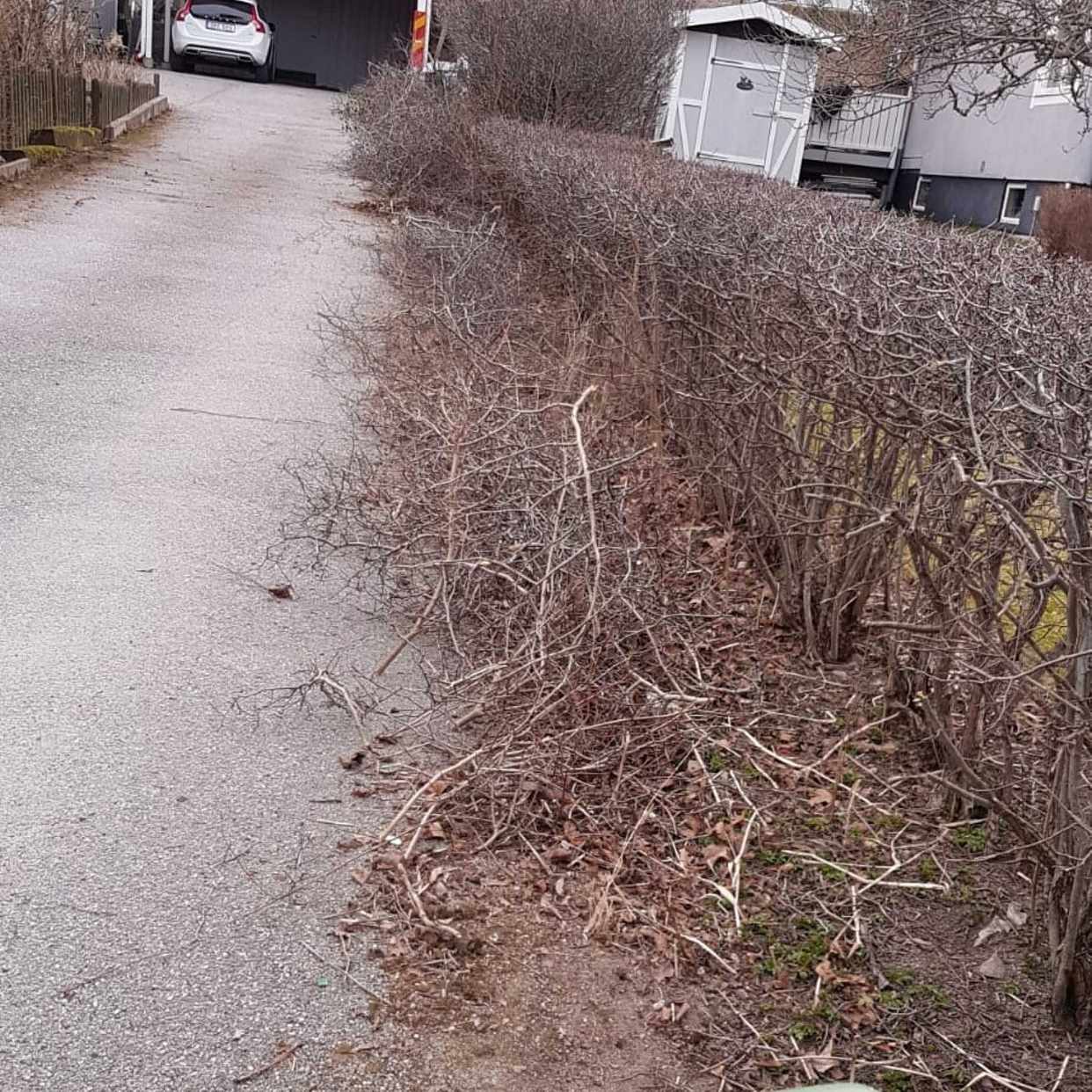 image of Grenar löv och buskar - Järfälla