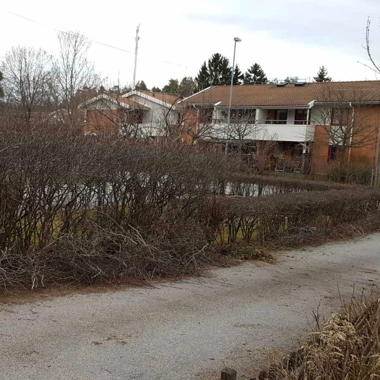 image of Grenar löv och buskar - Järfälla