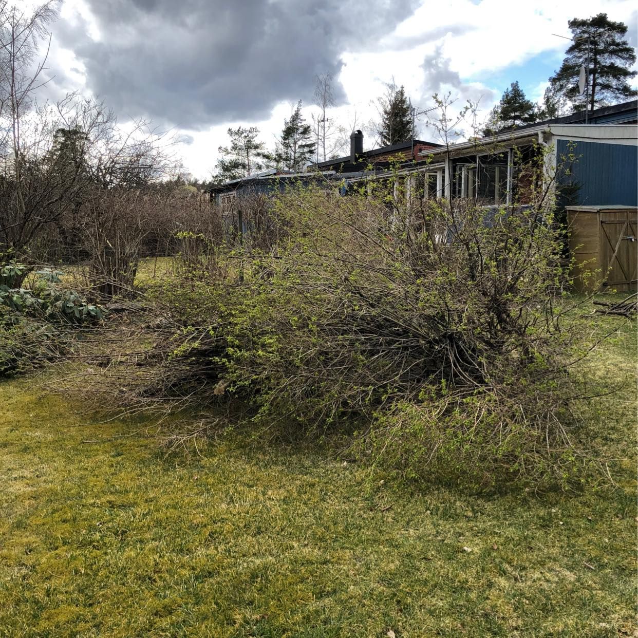 image of Grenar trädgårdsavfall - Uttran