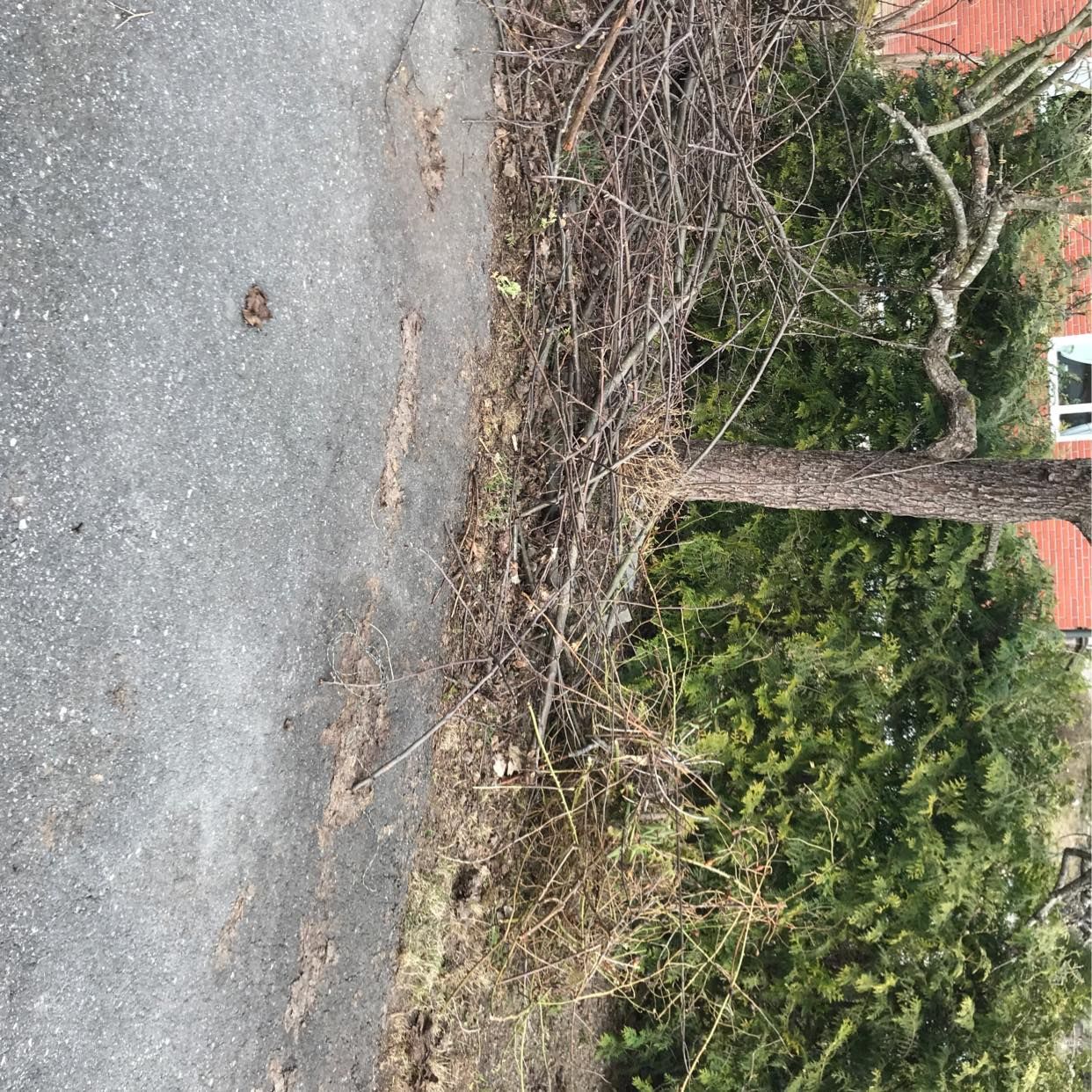 image of Grenar och kvistar - Huddinge