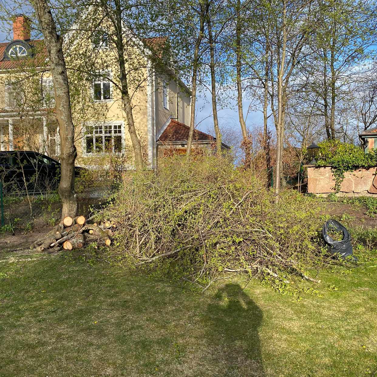 image of Trädgårdsrens - Djursholm