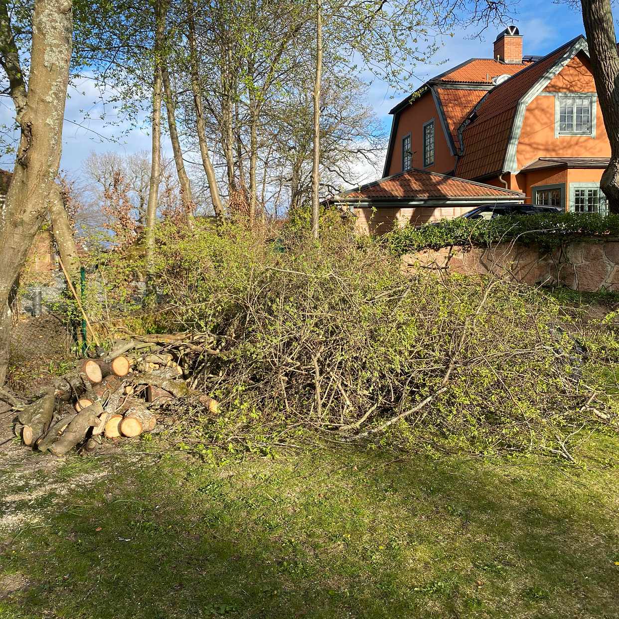 image of Trädgårdsrens - Djursholm