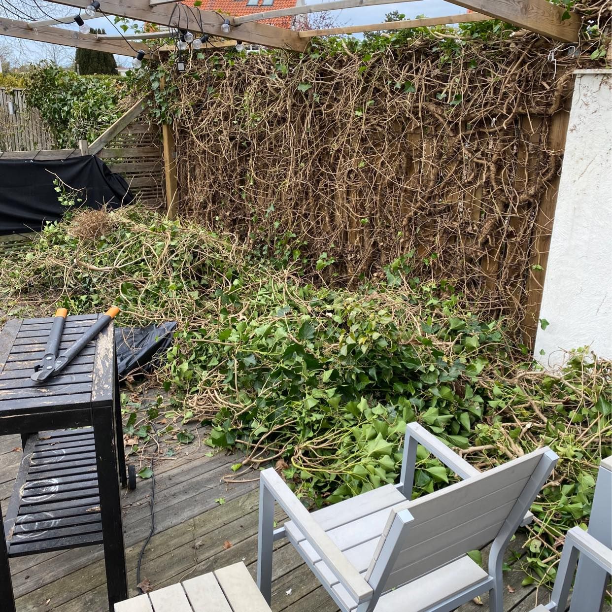 image of Bli av med trågårdsavfall - Malmö