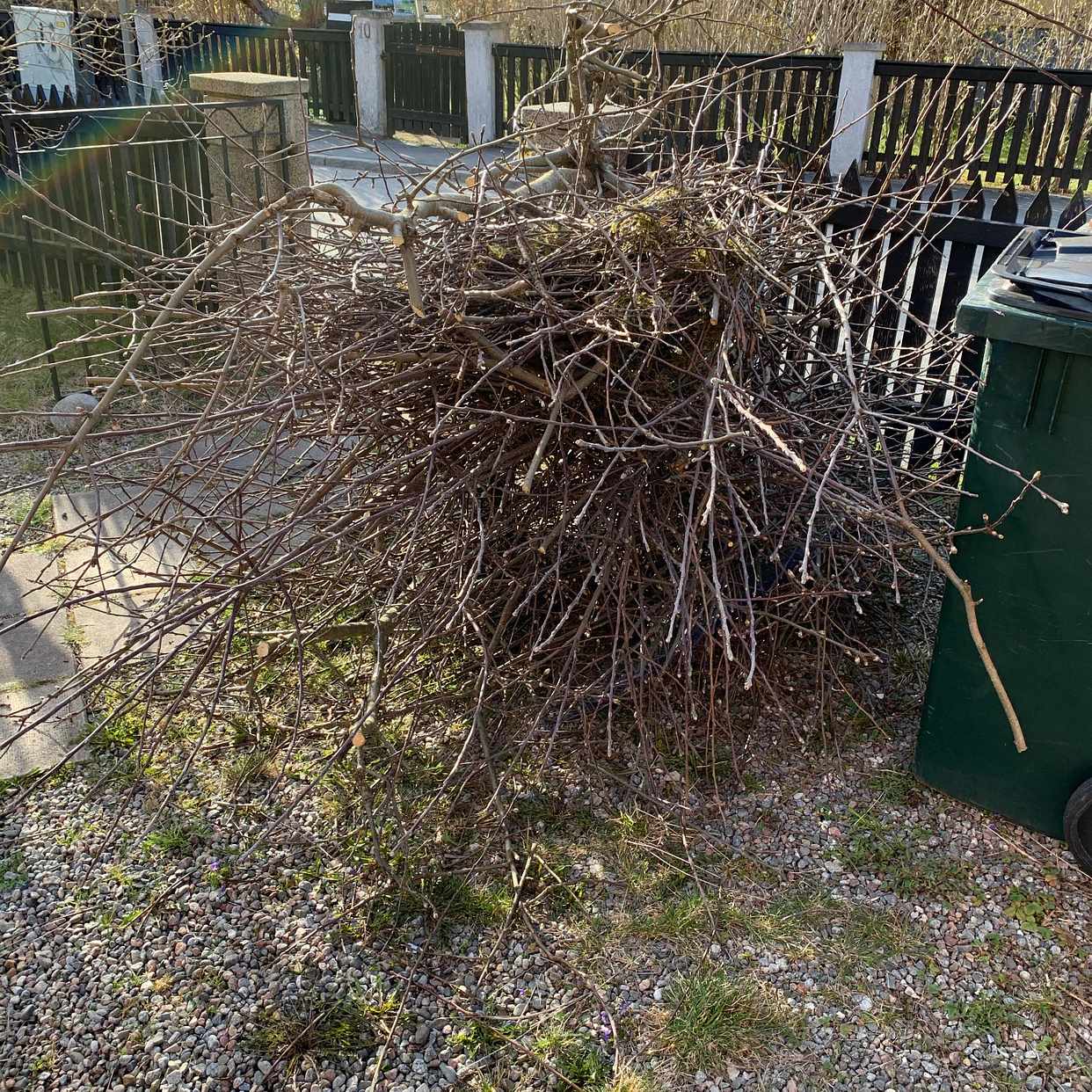 image of Slänga trädris och grenar - Hägersten