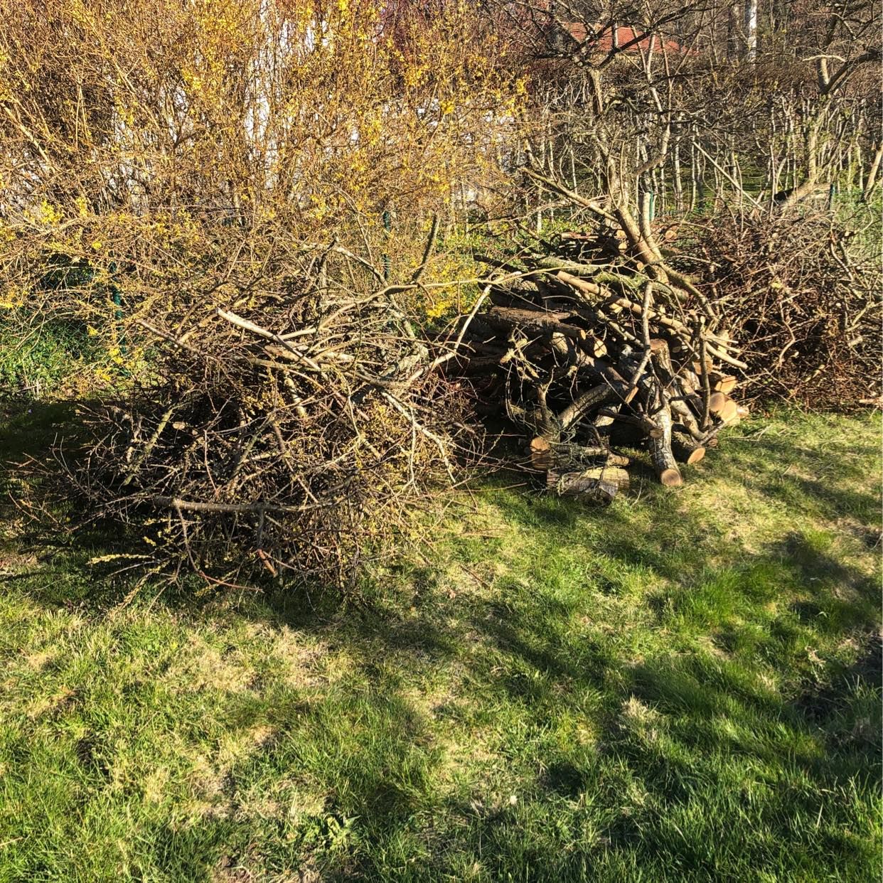 image of Ris, kvistar och grenar - Hovås