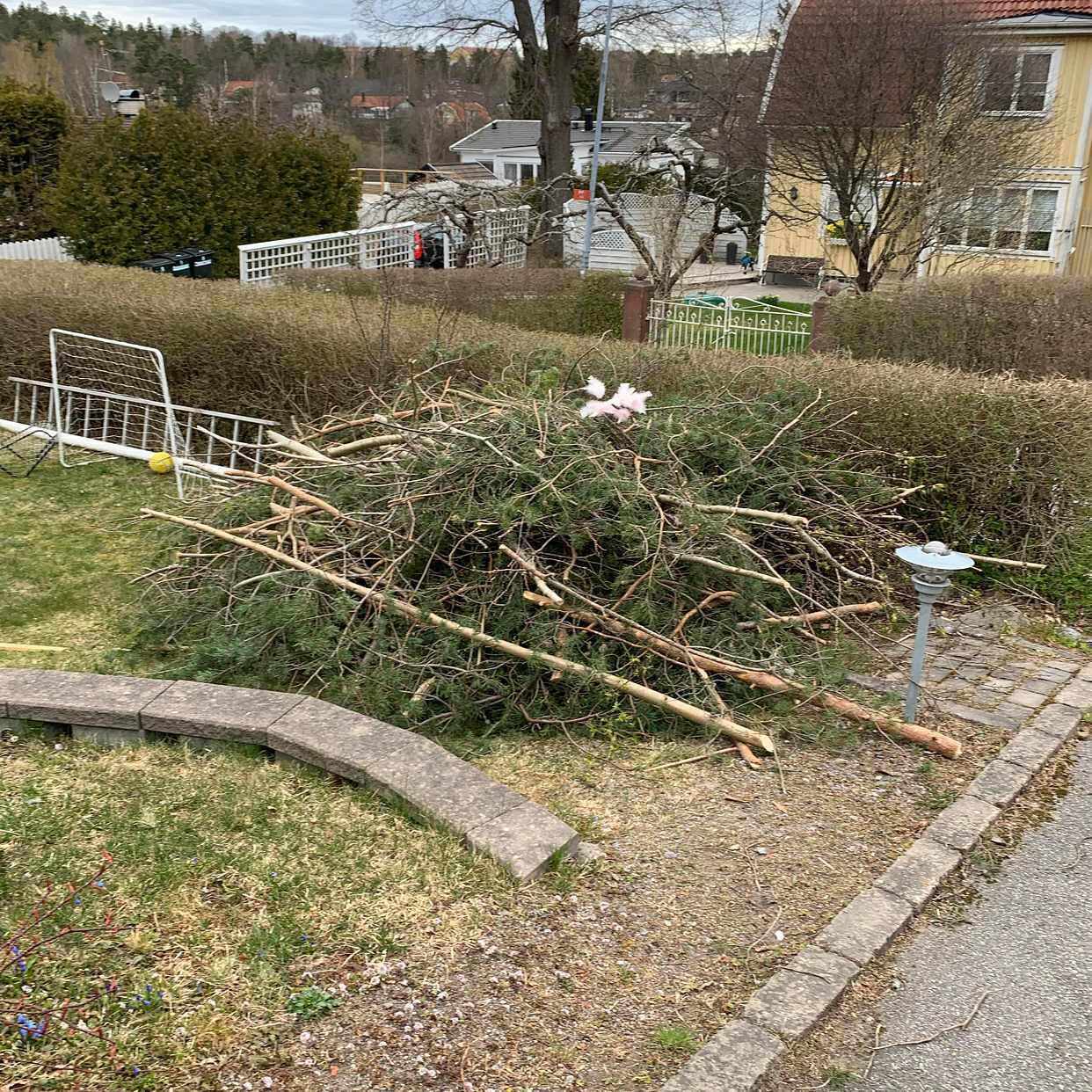 image of Kasta ris från trädfällni - Huddinge