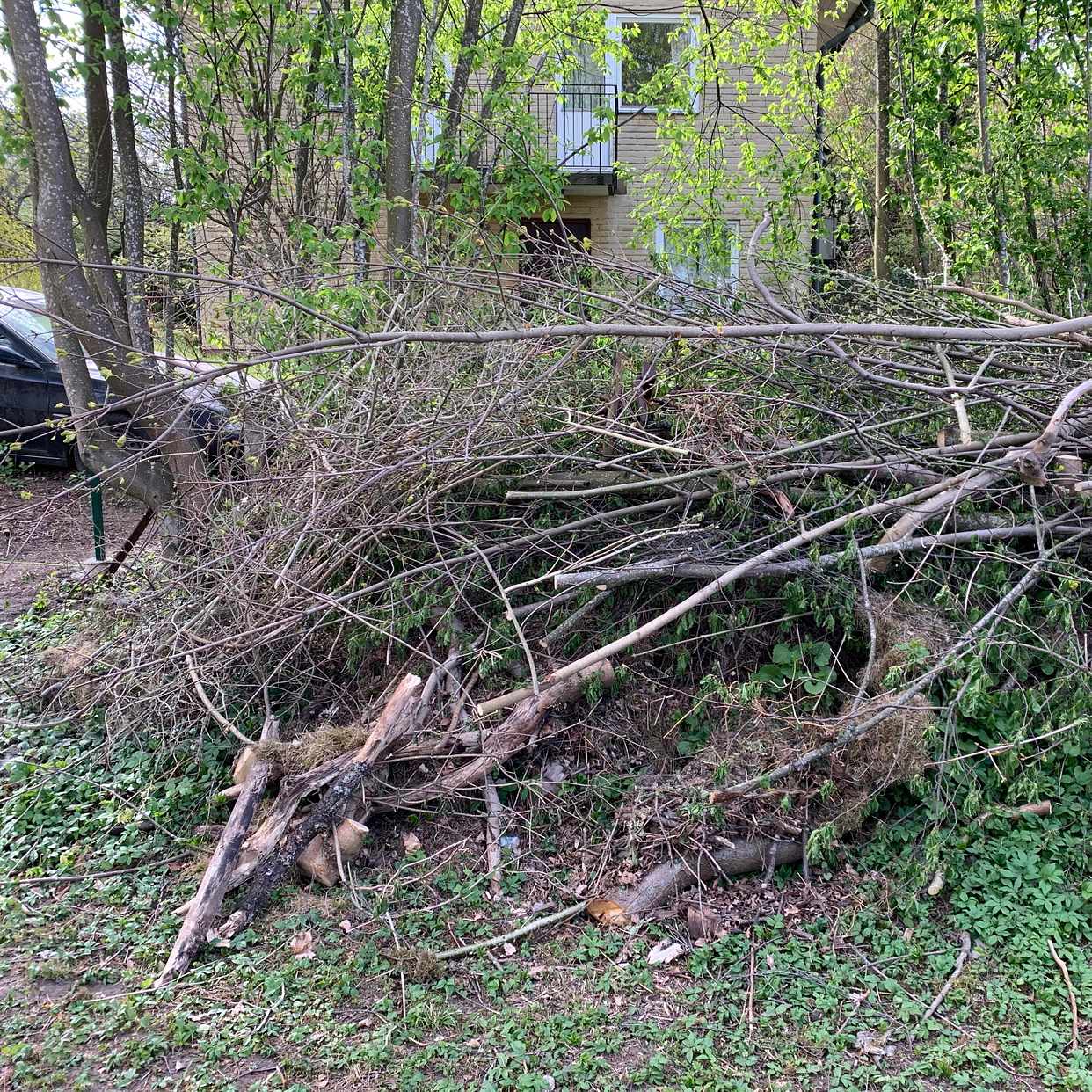 image of Big pile of garden waste - Solna
