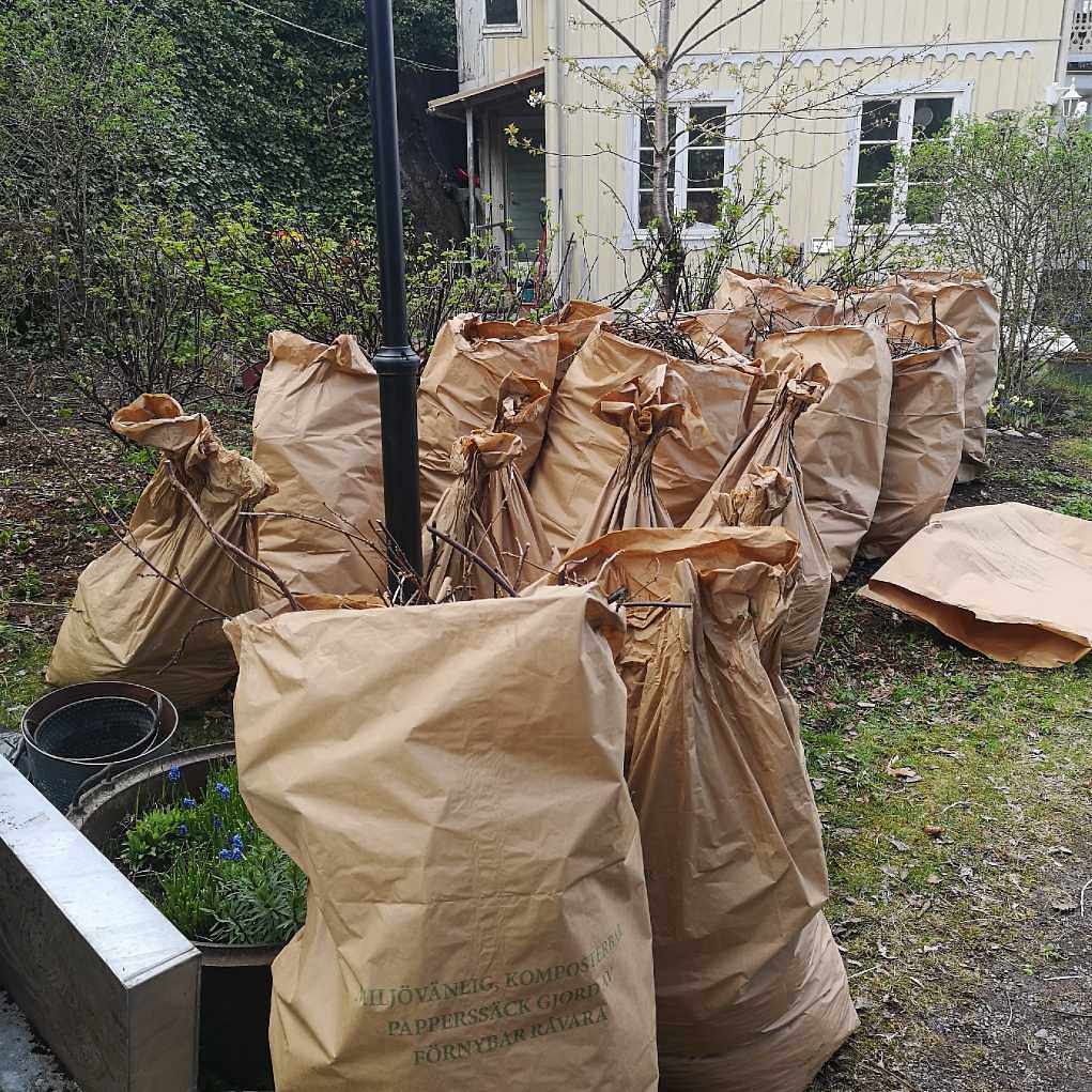 image of Trädgårdsrens och skräp - Hägersten