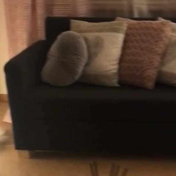 image of moving a futon - 