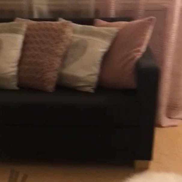 image of moving a futon - 