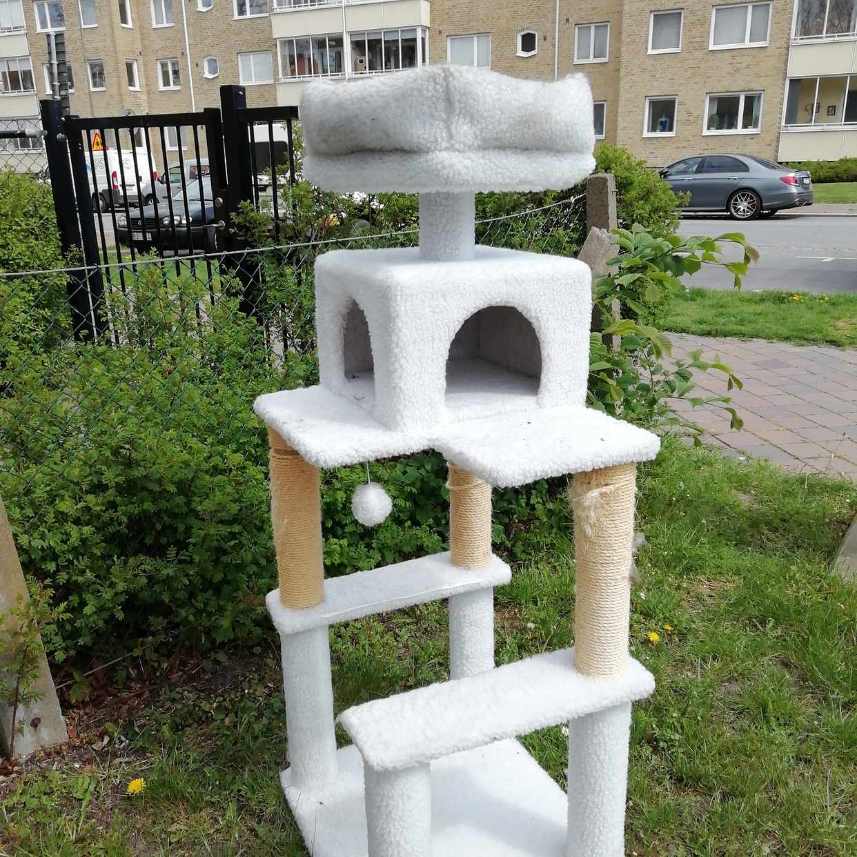 image of Katt träd till tippen - Malmö