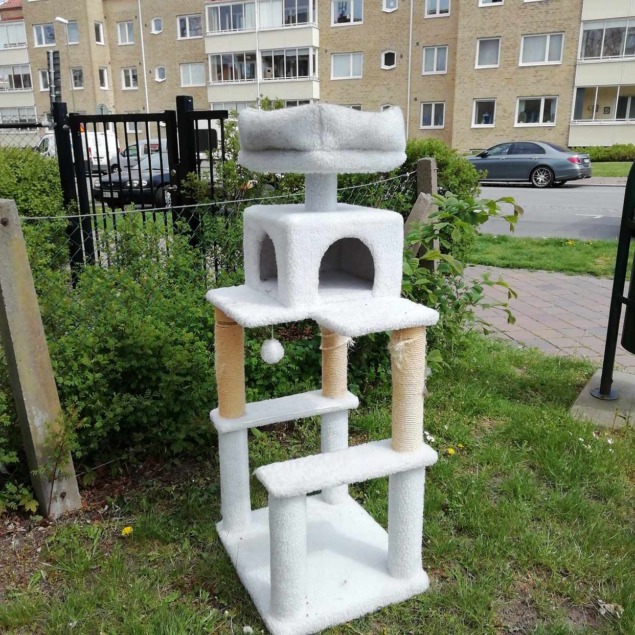 image of Katt träd till tippen - Malmö