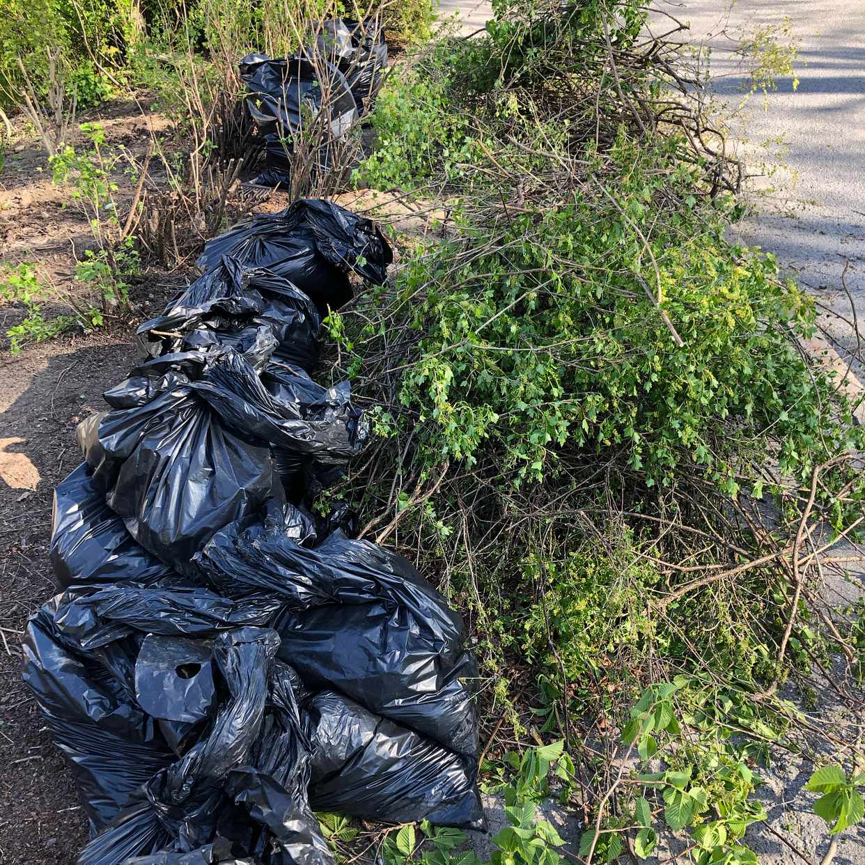 image of Trädgårdsavfall till tipp - Hägersten