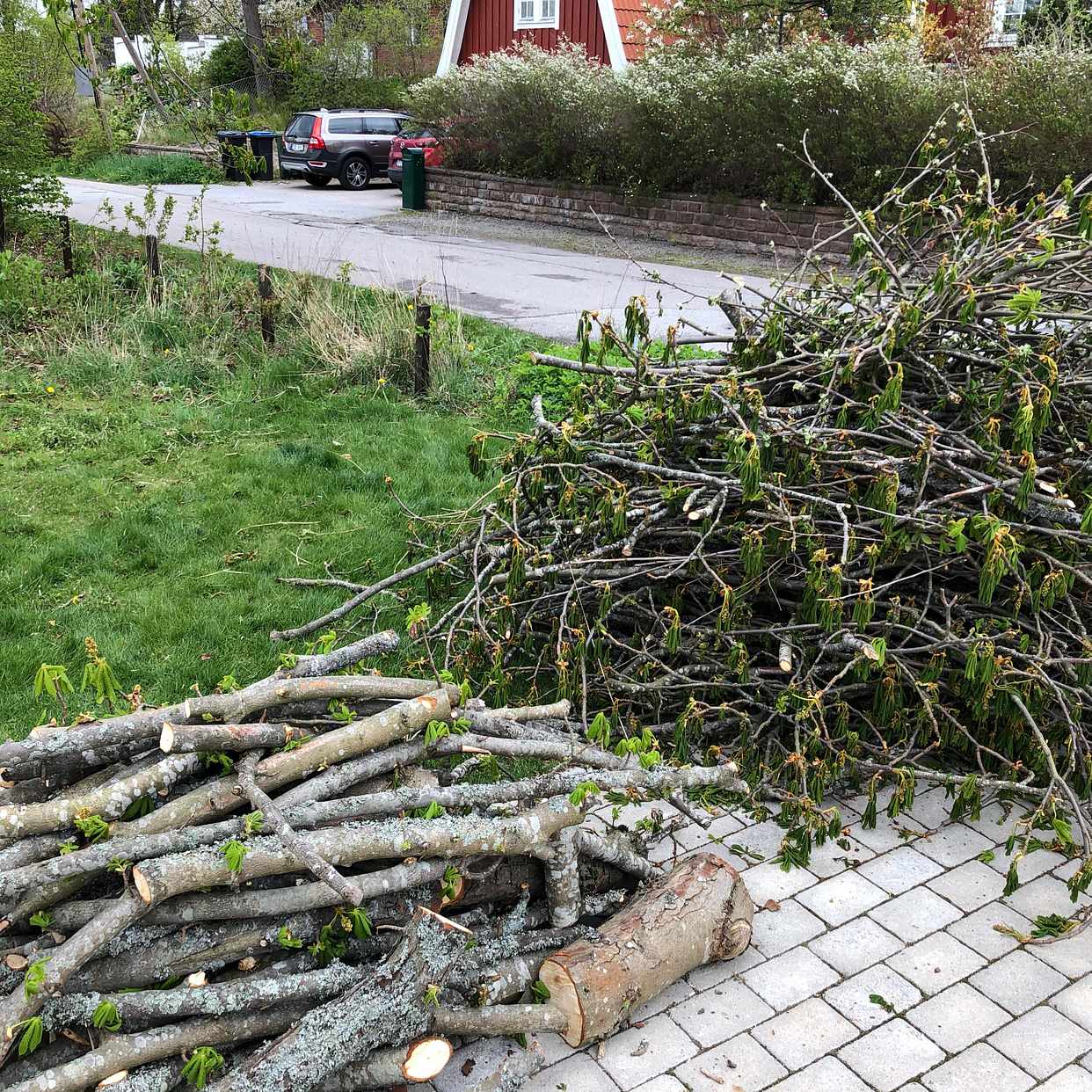 image of Ved och ris från kastanj - Täby