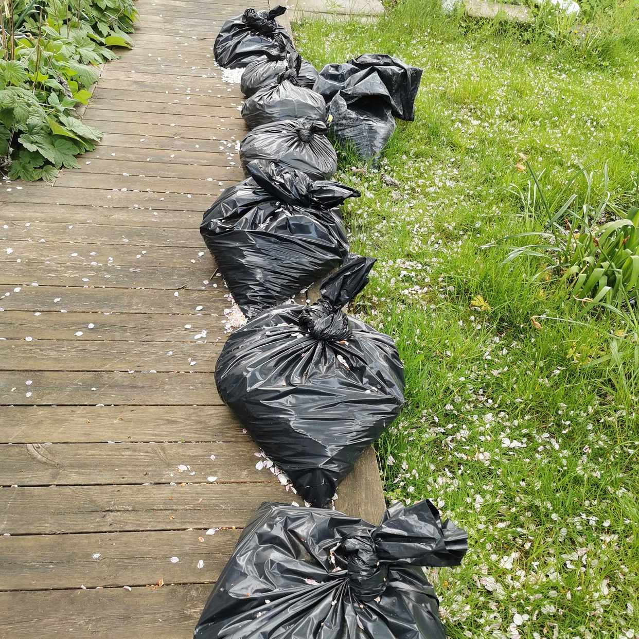 image of Säckar med puts och skräp - Malmö