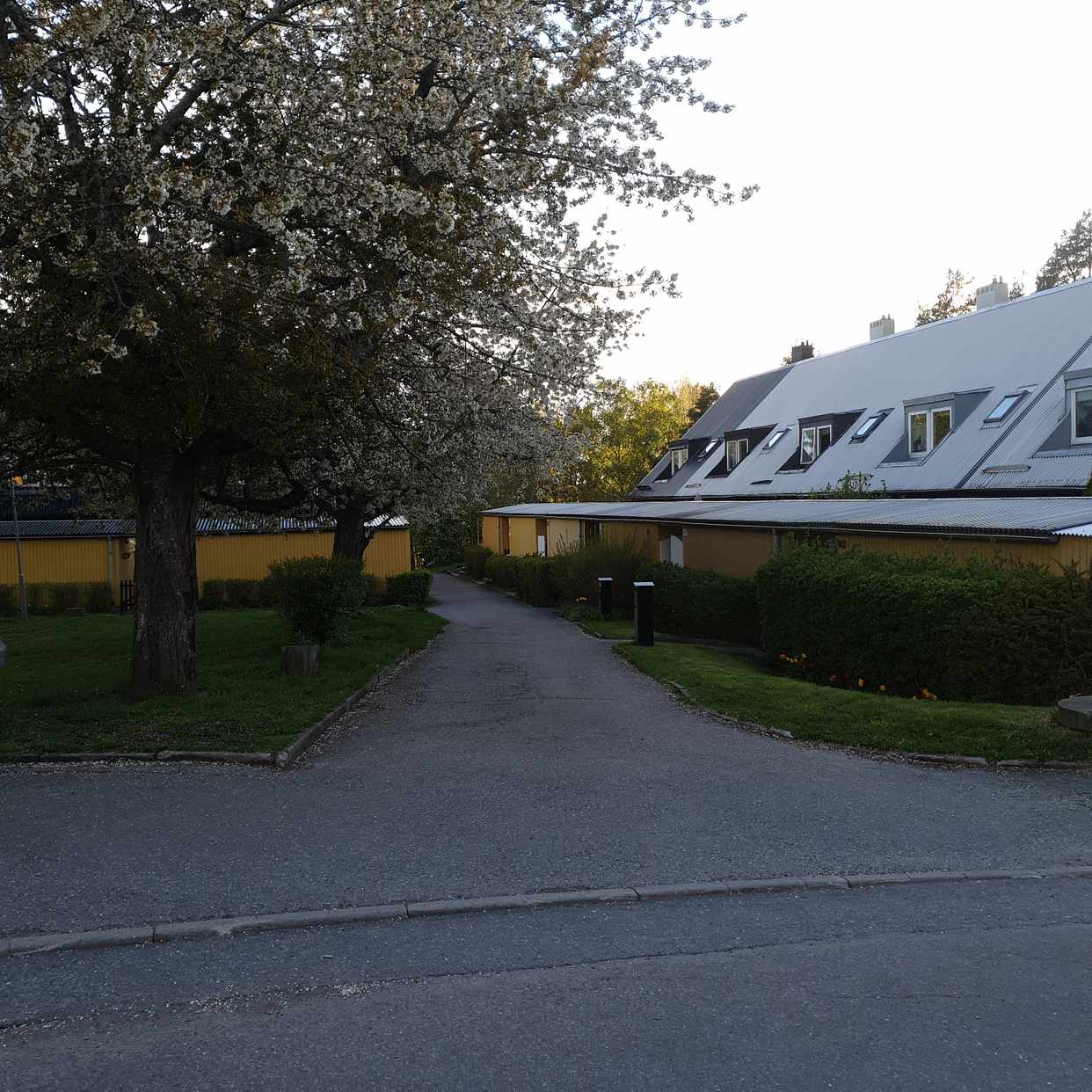 image of Brädor, frys, altanplank - Åkersberga