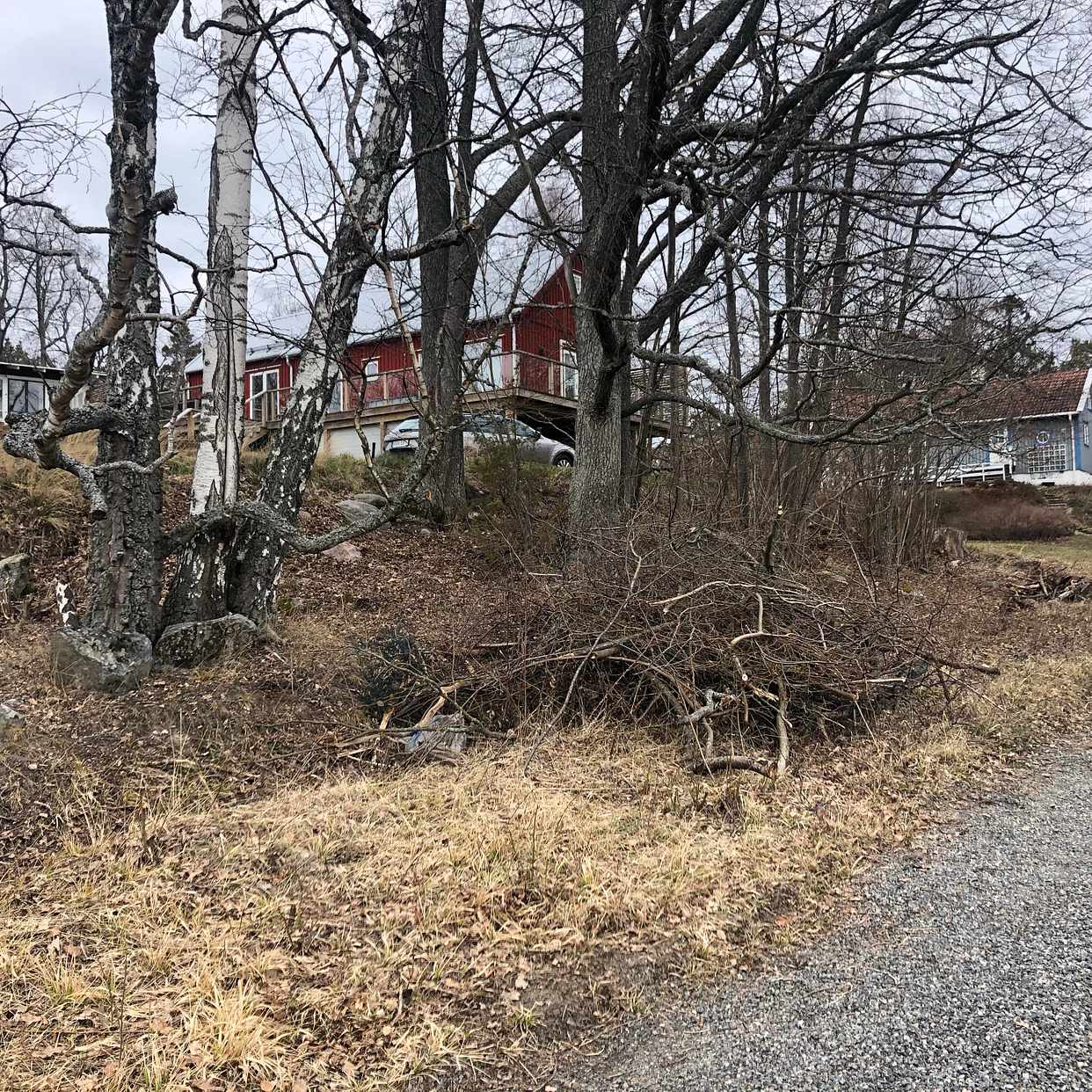 image of Trädgårdsavfall, ris - Djurhamn
