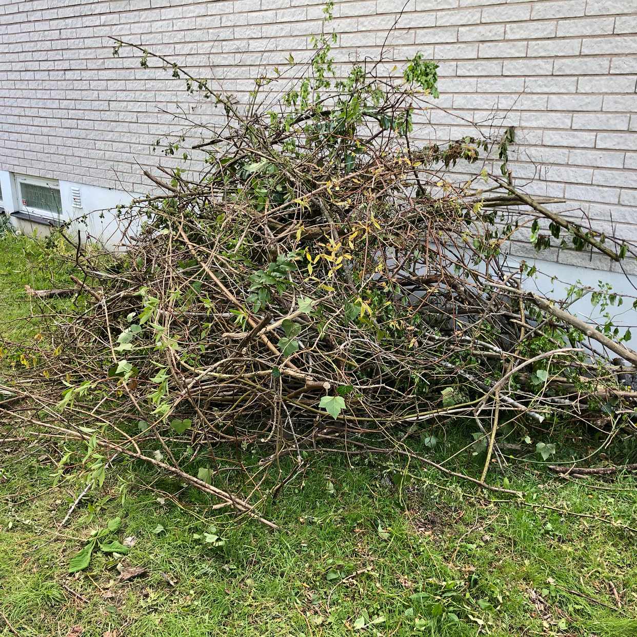 image of 4 piles of garden waste - Täby