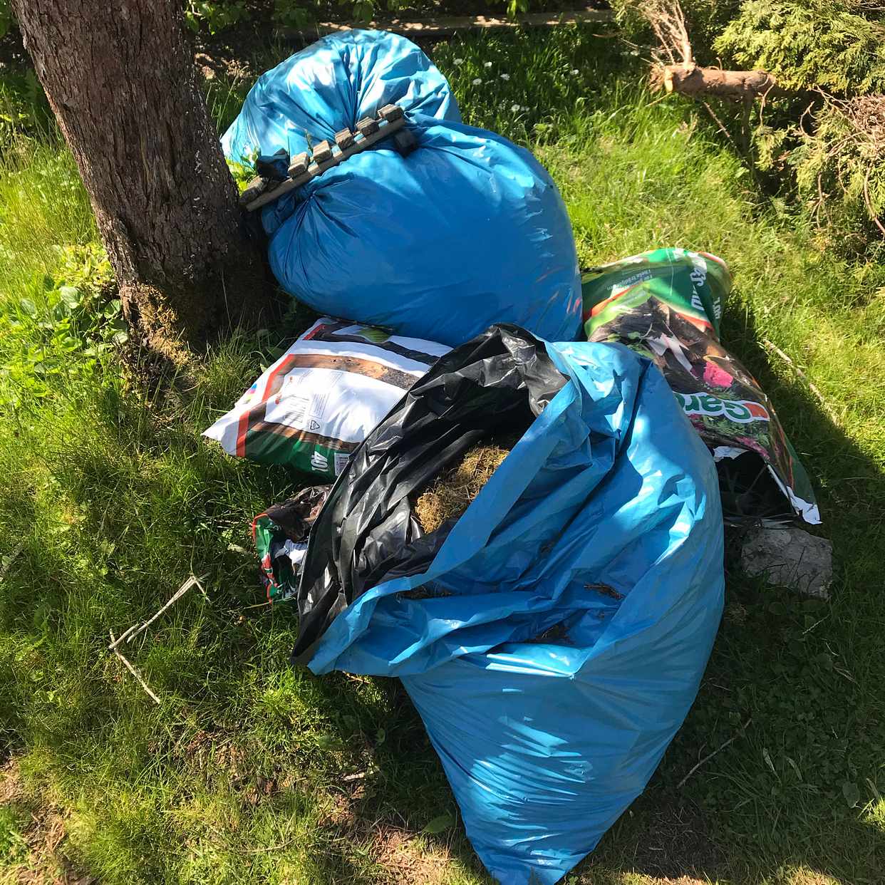 image of Rensning av trägårdsavfal - Vällingby