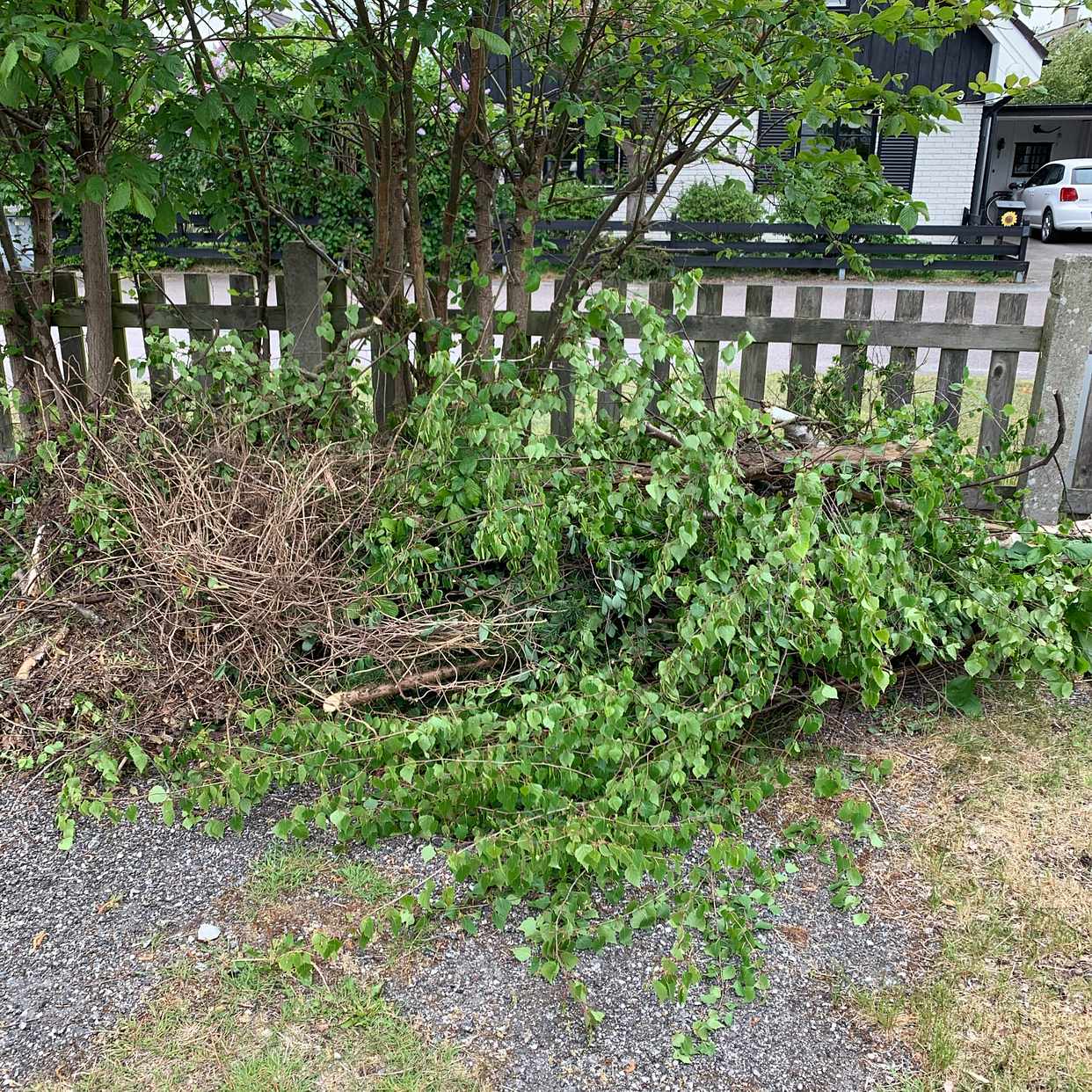 image of Köra skräp till tippen - Falsterbo