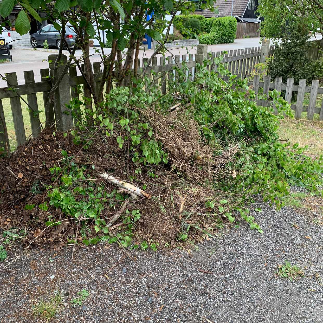 image of Köra skräp till tippen - Falsterbo